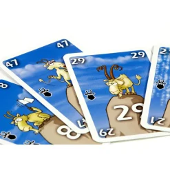 999 Games  Bokken Schieten kaartspel< Buitenspelen & Spelletjes