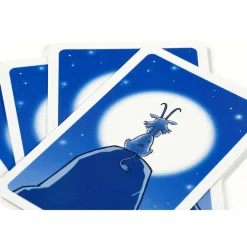 999 Games  Bokken Schieten kaartspel< Buitenspelen & Spelletjes