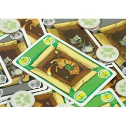 999 Games  Schrödinger's Katten kaartspel< Buitenspelen & Spelletjes