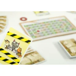 999 Games  Schrödinger's Katten kaartspel< Buitenspelen & Spelletjes