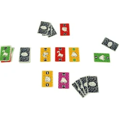 999 Games  The Brain kaartspel< Buitenspelen & Spelletjes