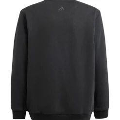 Truien & Vesten-adidas ALL SZN Graphic sweater junior black