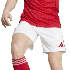 Voetbalkleding-adidas Arsenal thuisshort heren 25 - 26