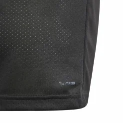 Tenniskleding-adidas Club tennisshirt junior black