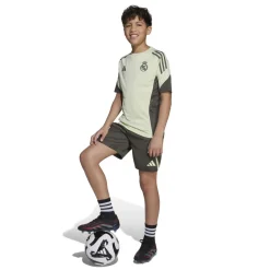 Voetbalkleding-adidas Real Madrid Tiro 25 voetbalbroekje junior utility grey
