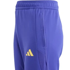 Voetbalkleding-adidas Real Madrid Tiro 23 trainingsbroek junior energy ink