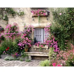 All Seasons Posters  bloemenmuur 80 x 60 tuinposter< Overige Accessoires