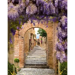 Overige Accessoires-All Seasons Posters  Doorkijk met blauwe regen tuinposter 60 x 80