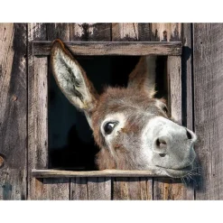 Overige Accessoires-All Seasons Posters  ezel 80 x 60 tuinposter