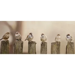 Overige Accessoires-All Seasons Posters  musjes 110 x 45 tuinposter