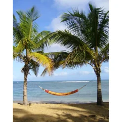 Hangmatten-Amazonas Barbados hangmat papaya