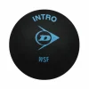 Squash-Dunlop Intro squashbal black