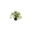 DWS Fittonia Bush kunstplant< Overige Accessoires