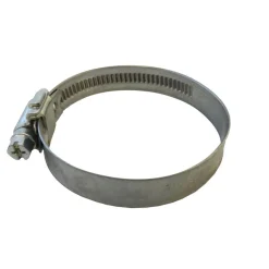 Slangen-DWS Wormschroefklem 38-50 mm set van 2 stuks