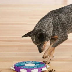 Hondenartikelen-Nina Ottosson  Dog Twister hondenspeelgoed