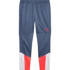 Voetbalkleding-Puma IndividualCUP trainingsbroek heren white inky blue