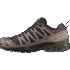 Hardloopschoenen-Salomon XA PRO 3D V9 GORE-TEX hardloopschoenen heren black coffee rum raisin olive night