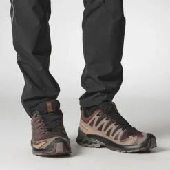 Hardloopschoenen-Salomon XA PRO 3D V9 GORE-TEX hardloopschoenen heren black coffee rum raisin olive night