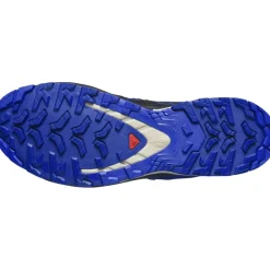 Salomon XA PRO 3D V9 GORE-TEX wandelschoenen heren blue print surf the web lapis blue< Wandelen|Wandelschoenen