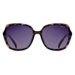 Sinner Montara zonnebril smoke black grey tortoise< Zonnebrillen