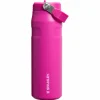 Stanley PMI  Iceflow Bottle Flip Straw 2.0 thermosfles 710 ml violet blossom< Drinkflessen