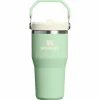 Drinkflessen-Stanley PMI  Iceflow Flip Straw Tumbler thermosbeker 590 ml pistachio