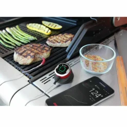 Weber iGrill Mini vleesthermometer< Hulpmiddelen
