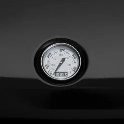 Elektrische Bbq-Weber Lumin elektrische barbecue black inclusief onderstel