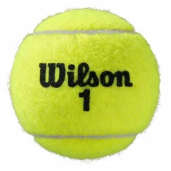 Wilson Roland Garros All Court tennisballen 4-pack geel< Tennisballen